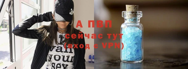 индика Медногорск