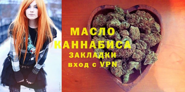 индика Медногорск