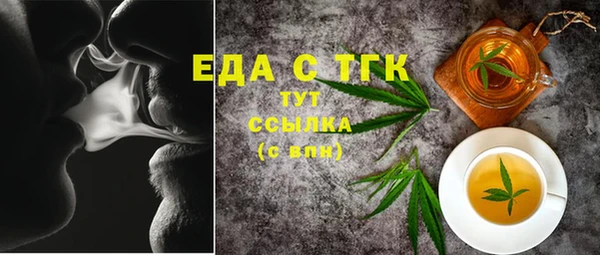 индика Медногорск