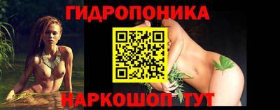Альфа ПВП Новозыбков