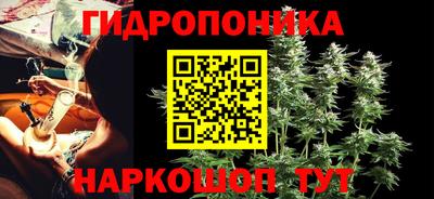 Альфа ПВП Новозыбков