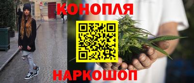 ешки Новодвинск