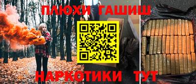 ешки Новодвинск