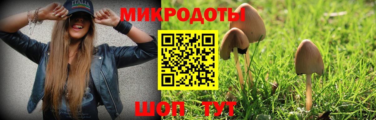 Галлюциногенные грибы прущие грибы Биробиджан