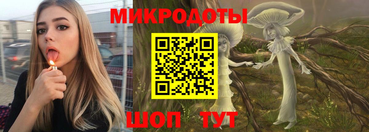 Галлюциногенные грибы Psilocybe Биробиджан