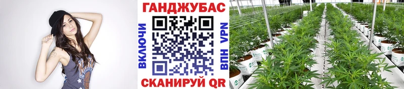 Канабис Ganja  купить закладку  Биробиджан 